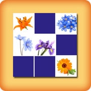 Matching game for seniors - Flowers - Online and free