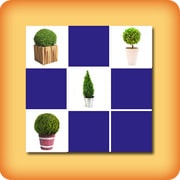 Matching game with Boxwood - Online and free