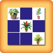 Matching game with Green plants - Online and free