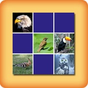 Matching game for seniors - Birds - online and free Matching game for seniors - Birds - online and free