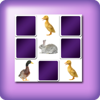 Big animals Memory Game