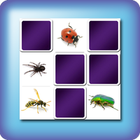 memory game insects