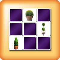 Boxwood Memory game for seniors Boxwood Memory game for seniors
