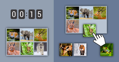 Grid of pictures to memorize - animals