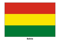 Drapeau de la Bolivie
