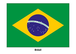 Drapeau du Brésil
