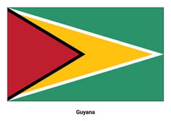 Drapeau du Guyana