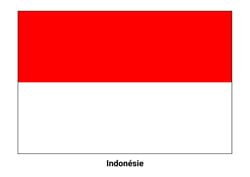 Drapeau de l'Indonésie