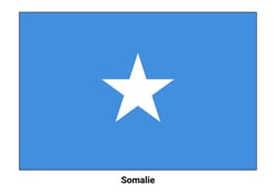 Drapeau de la Somalie