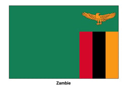 Drapeau de la Zambie
