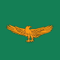 Zambia - African fish eagle