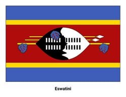 Flag of Eswatini