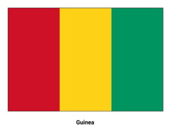 Flag of Guinea