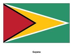 Flag of Guyana