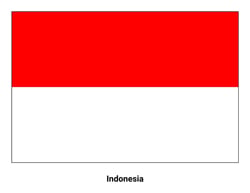 Flag of Indonesia