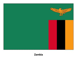 Flag of Zambia