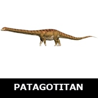 Patagotitan