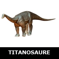 Plus de 50 Cartes de Dinosaures - Noms et Photos