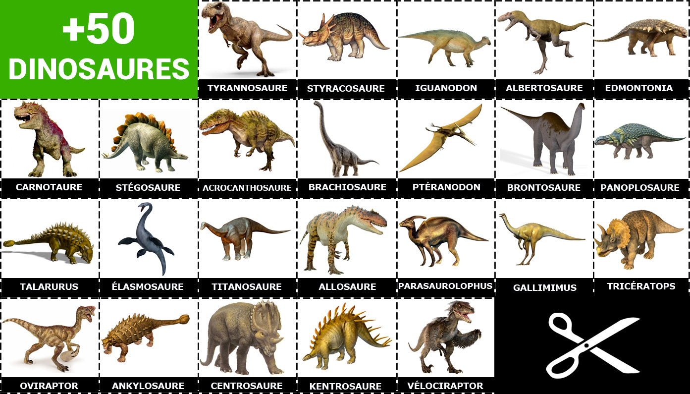 Plus de 50 Cartes de Dinosaures - Noms et Photos