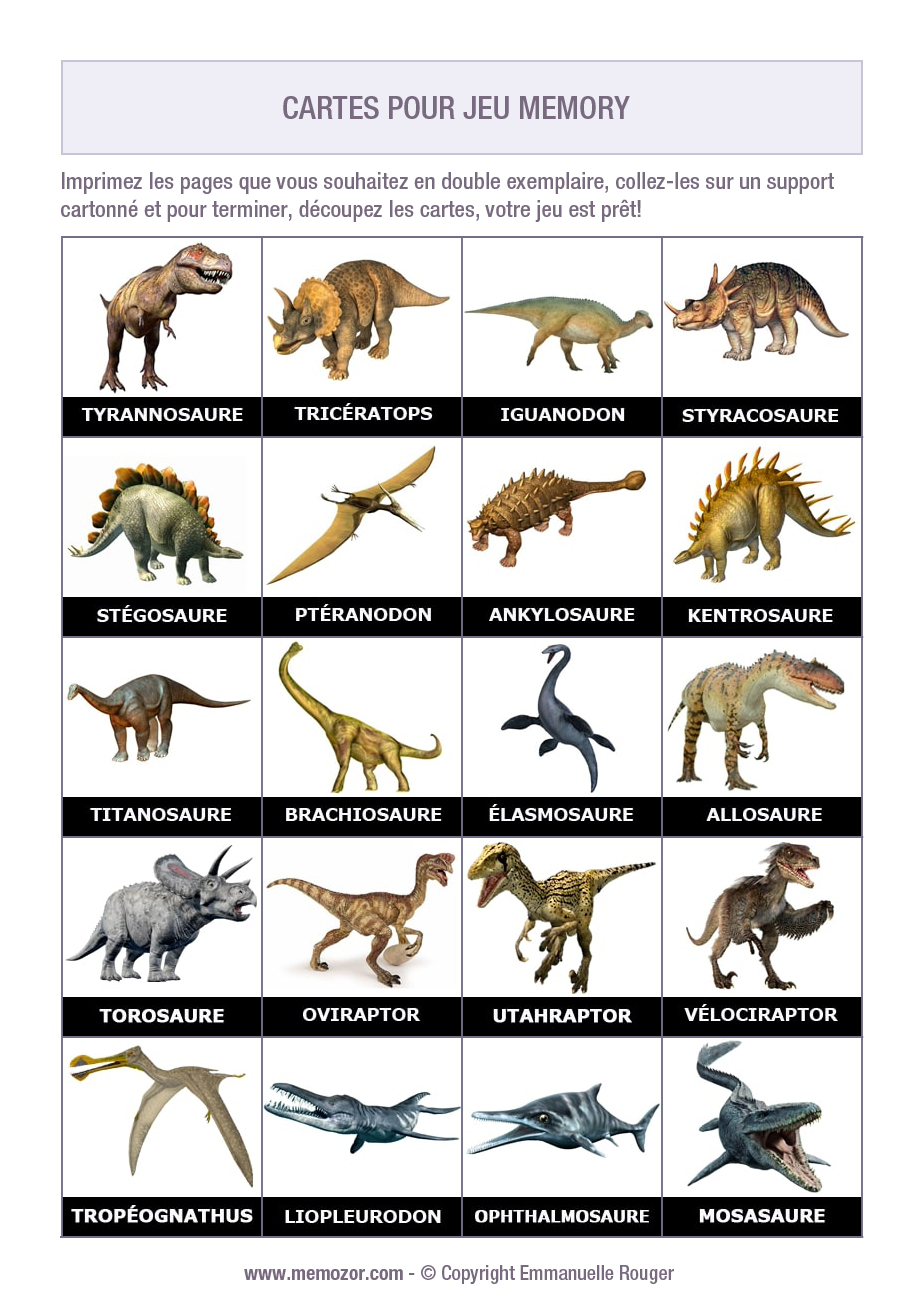 Plus de 50 Cartes de Dinosaures - Noms et Photos