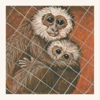 Carte memory 1981 - Singes derrière un grillage