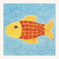 Carte memory 1981 - Poisson jaune et orange