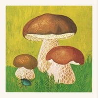 Carte memory 1981 - 3 champignons