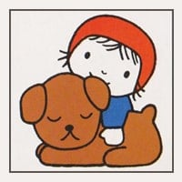 Carte memory Dick Bruna - carte n°36