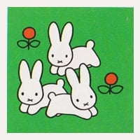 Carte memory Dick Bruna - carte n°5