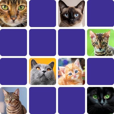 Matching game cats and kittens