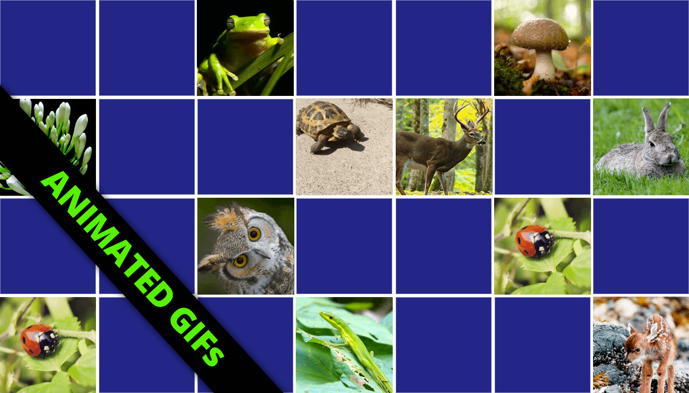 Matching game seniors - Nature animated GIFs - Online & Free