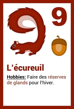Carte Animal - L'écureuil - chiffre 9