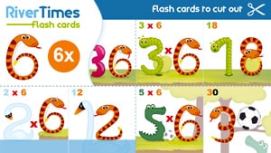 RiverTimes Multiplication Flash Cards - 6 Times table