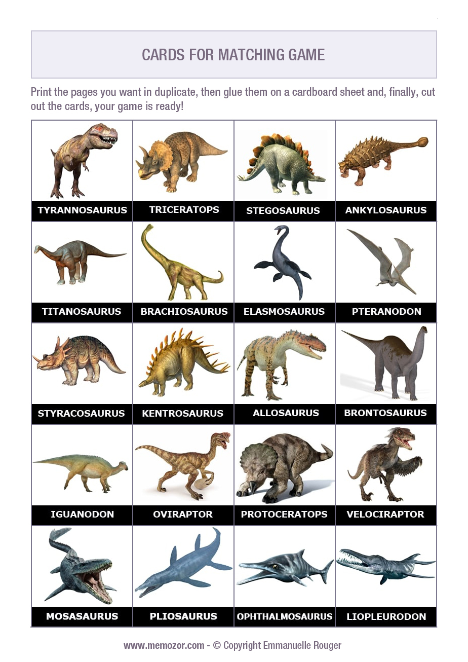 Types of Dinosaurs Matching Game