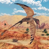 Play matching game - Dinosaurs - Online & Free