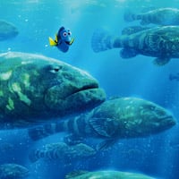 Play Matching Game For Kids Finding Dory Online Free Memozor