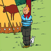 Jeu De Memory Enfant Les Aventures De Tintin En Ligne Et