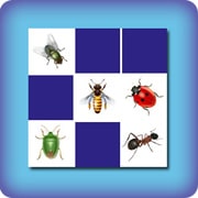 Matching game for kids - insects - online and free