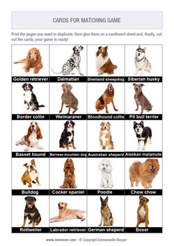 Printable matching game - Dog breeds