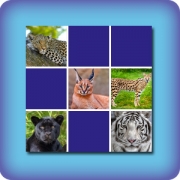 Memory game for kids - Cats - online and free