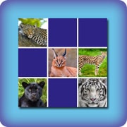 Matching game for kids - Cats - online and free
