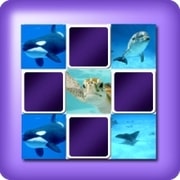 Jeu de memory pour 2 joueurs - animaux marins