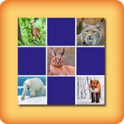 Memory game for seniors - Animals - online and free