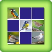 Matching game for adults - common birds - online and free