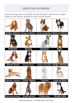Jeu Memory à imprimer - Races de chien Jeu Memory à imprimer - Races de chien