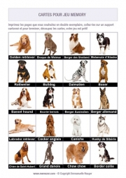 Jeu de memory à imprimer pour séniors - les races de chien Jeu de memory à imprimer pour séniors - les races de chien