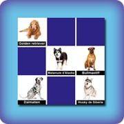 Jeu de memory pour enfants - les races de chien - en ligne et gratuit