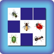 Jeu de memory pour enfants - insectes - en ligne et gratuit