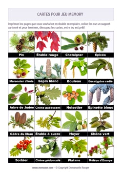 Jeu de memory à imprimer pour seniors - feuilles des arbres Jeu de memory à imprimer pour seniors - feuilles des arbres