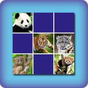 Memory game for kids - Asian animals - online and free